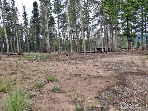 1921 Osage Trl, Red Feather Lakes, CO, 80545-8663 | Card Image