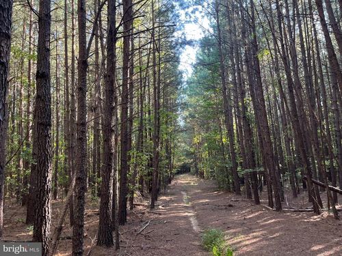 1 Riceville Rd, Gretna, VA, 24557 | Card Image