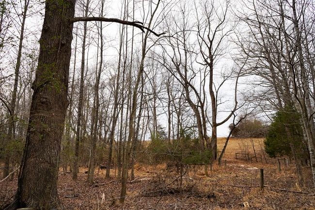 4031 Marion Rd, Home with 0 bedrooms, 0 bathrooms and null parking in Chatham VA | Image 37