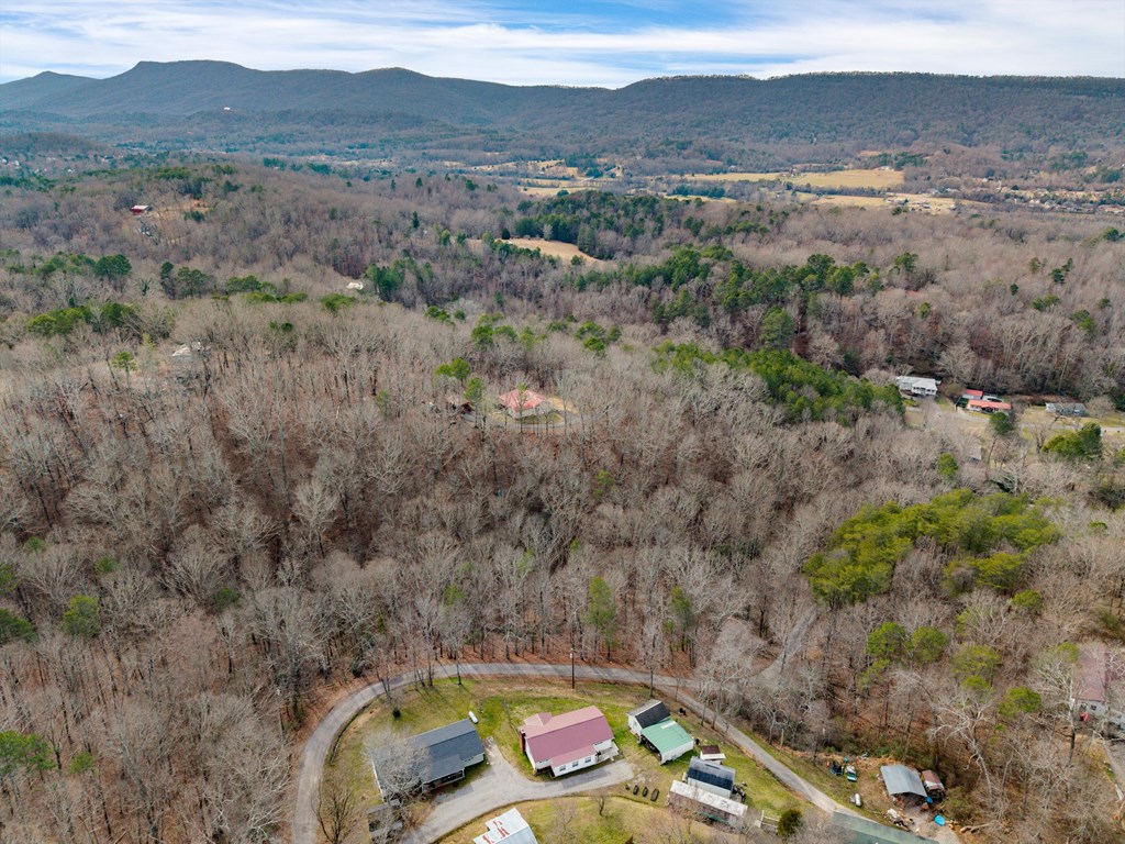 Land in Rossville 2