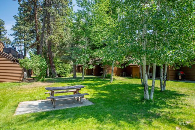 View of grassy yard featuring a patio | Image 26