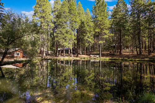 21800 Cedar Ridge Rd, Manton, CA, 96059-9309 | Card Image