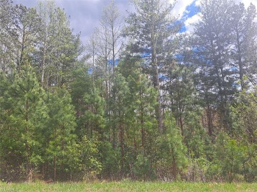 0000 Little Dan River Rd, Claudville, VA, 24076 | Card Image