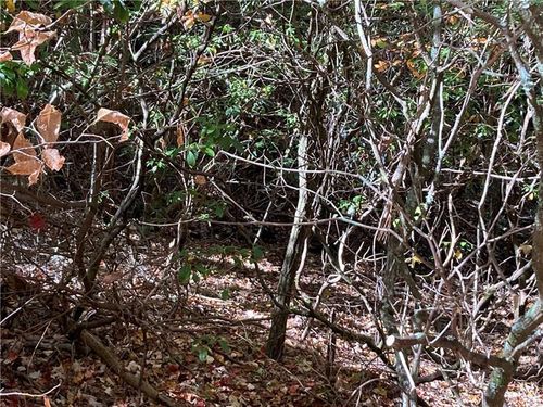 0 Prospectors Pl, Sautee Nacoochee, GA, 30571 | Card Image