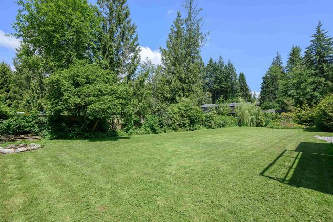 View of green lawn | Image 9