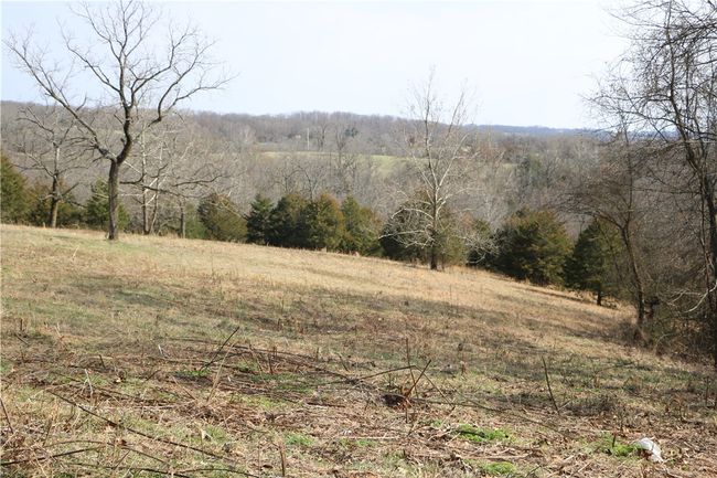 57 Sugar Creek Road, Home with 0 bedrooms, 0 bathrooms and null parking in Washburn MO | Image 23
