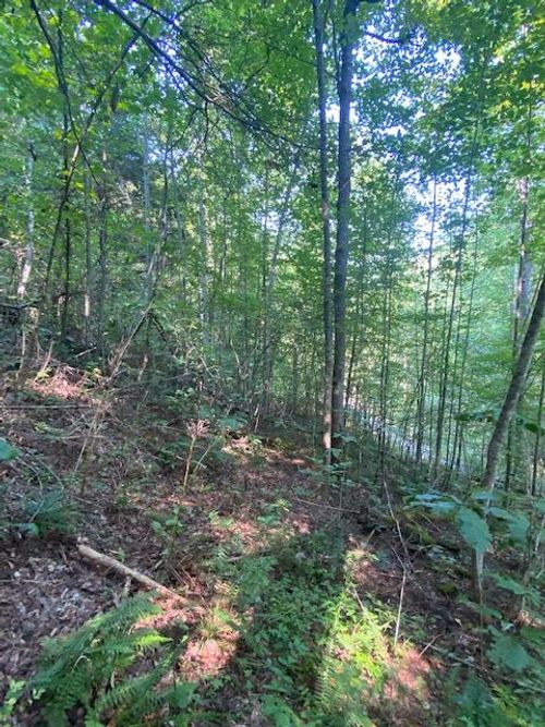 Lot 383 E Obey Ln, Wilder, TN, 38589 | Card Image