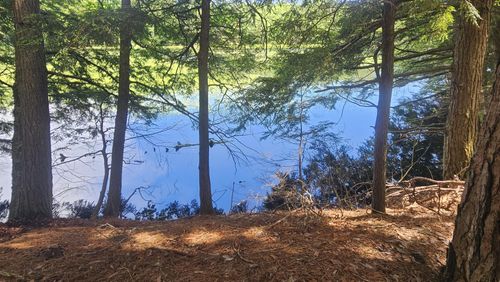 Lot 1 Staehling Rd, Three Lakes, WI, 54562 | Card Image