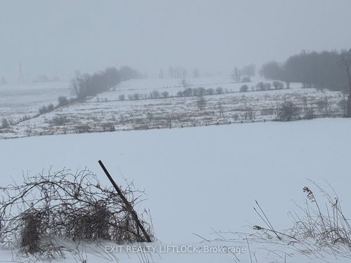 0 County Rd 21, Millbrook, ON, L0A1G0 | Card Image