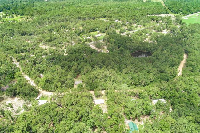 Lot 15 Blue Creek Rd, Home with 0 bedrooms, 0 bathrooms and null parking in Ponce De Leon FL | Image 6