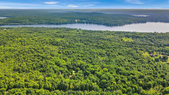 1842 Buckslide Rd, House other with 2 bedrooms, 1 bathrooms and 8 parking in Algonquin Highlands ON | Image 4