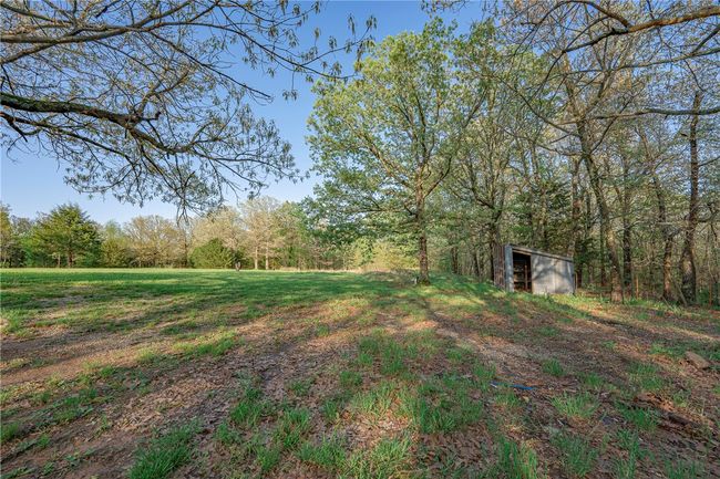 Back yard with metal building | Image 22