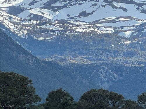 325 Davis Meadow Trl, Dyer, NV, 89010-8632 | Card Image