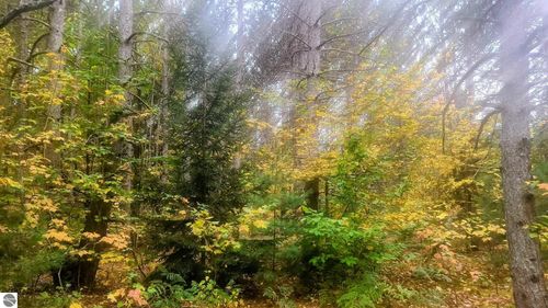 0001 Cedar River Rd, Mancelona, MI, 49659 | Card Image