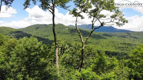 17-1728 Forest Ridge Dr, Linville, NC, 28646-8107 | Card Image