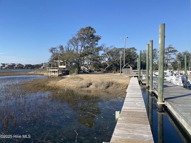 6231 Tortoise Ln, House other with 4 bedrooms, 3 bathrooms and 2 parking in Wilmington NC | Image 55