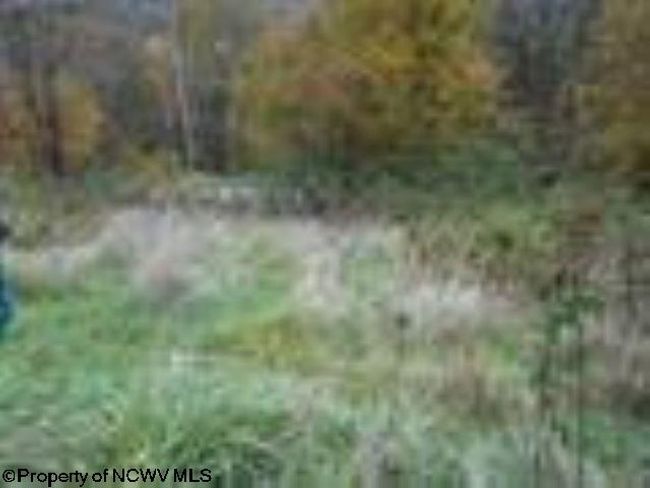 2410 Buckhannon Pike, Home with 0 bedrooms, 0 bathrooms and null parking in Mount Clare WV | Image 9