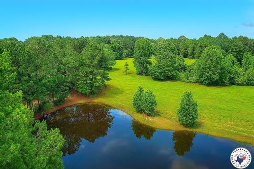 1166 County Rd. 4452, McLeod, TX, 75565 | Card Image