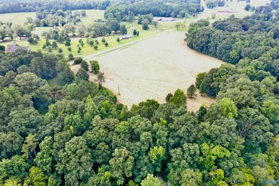 70 Acres County Road 170, Home with 0 bedrooms, 0 bathrooms and null parking in Hillsboro AL | Image 2