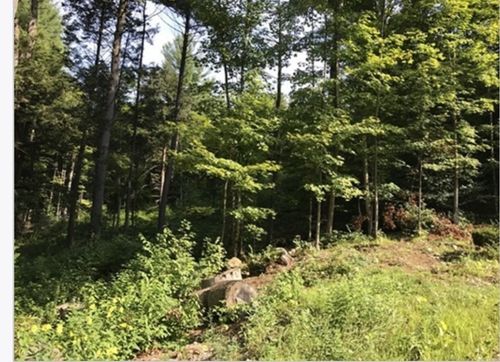 49 Old Chester Rd, Huntington, MA, 01050-9781 | Card Image