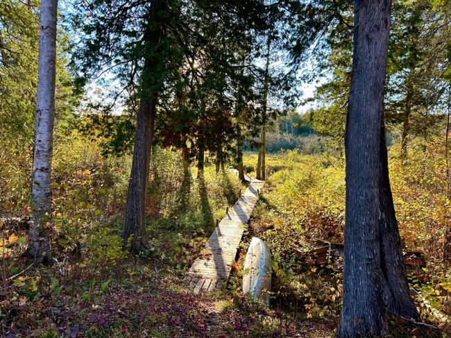 333-ACRES - ON Double Bend Rd, House other with 2 bedrooms, 1 bathrooms and null parking in Argonne WI | Image 39