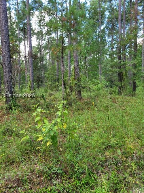 TBD Tina Manker Rd, Ridgeland, SC, 29936 | Card Image