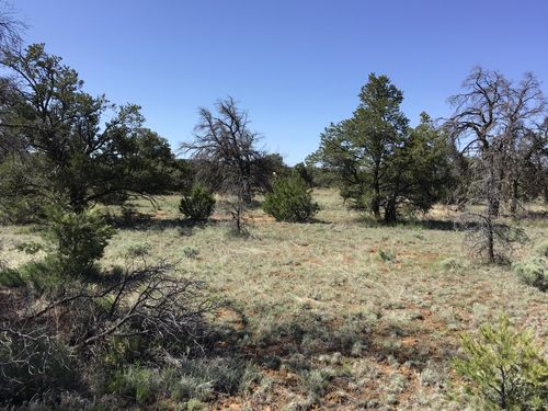 Lot 206e Meadow Drive, Ramah, NM, 87321 | Card Image