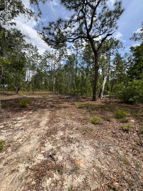 110 Slipper Way, HAWTHORNE, FL, 32640-4440 | Card Image