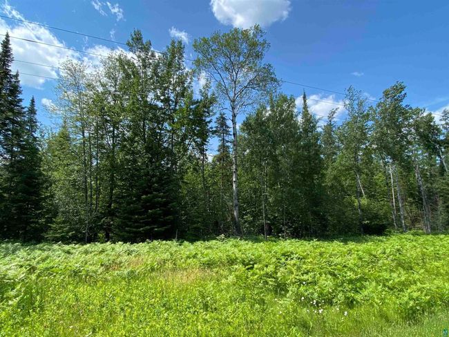 57 Munger Shaw Rd, Home with 0 bedrooms, 0 bathrooms and null parking in Saginaw MN | Image 21