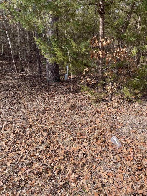 TBD Wildwood, Murchison, TX, 75778 | Card Image