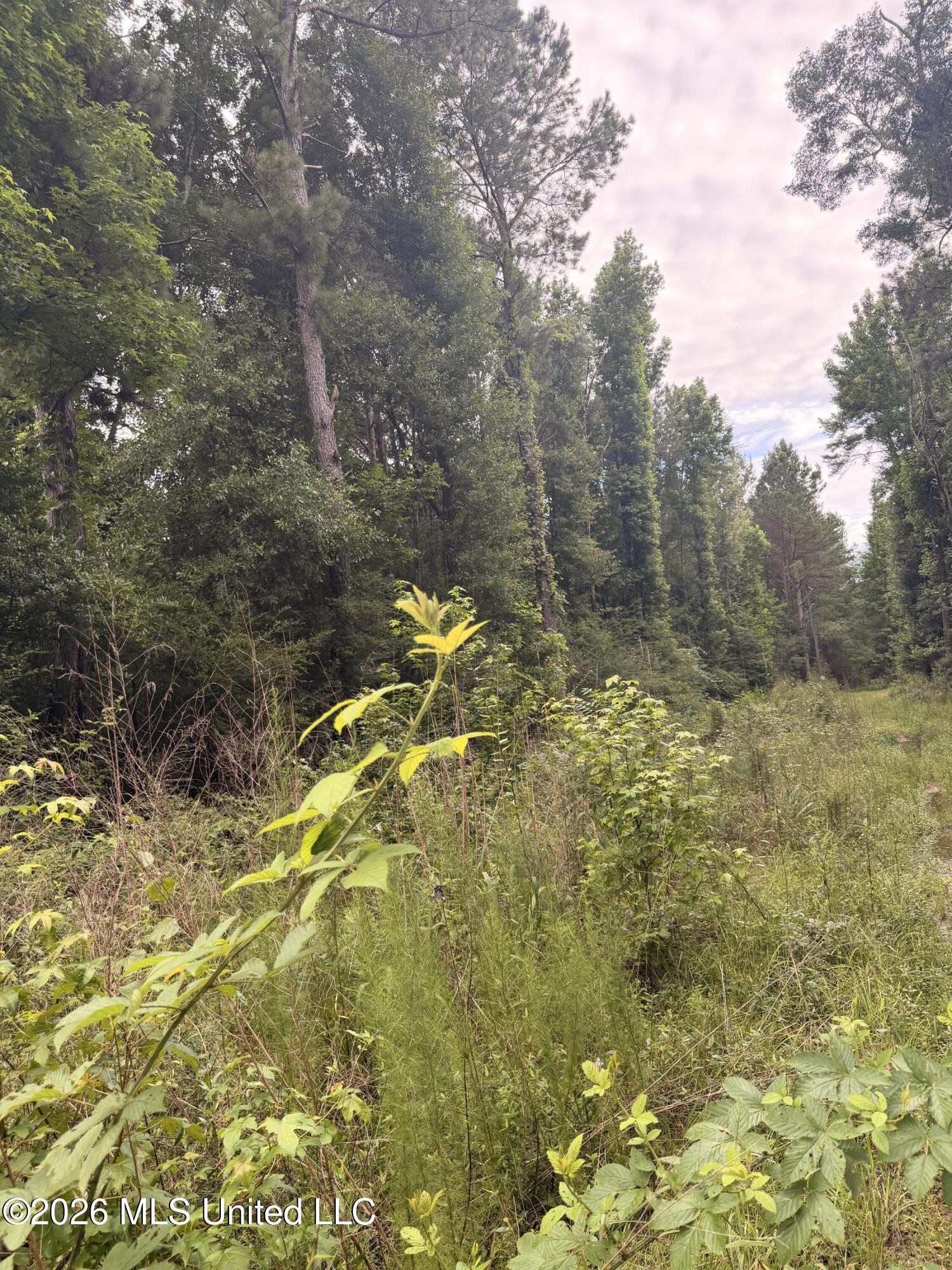 Land in McComb 4