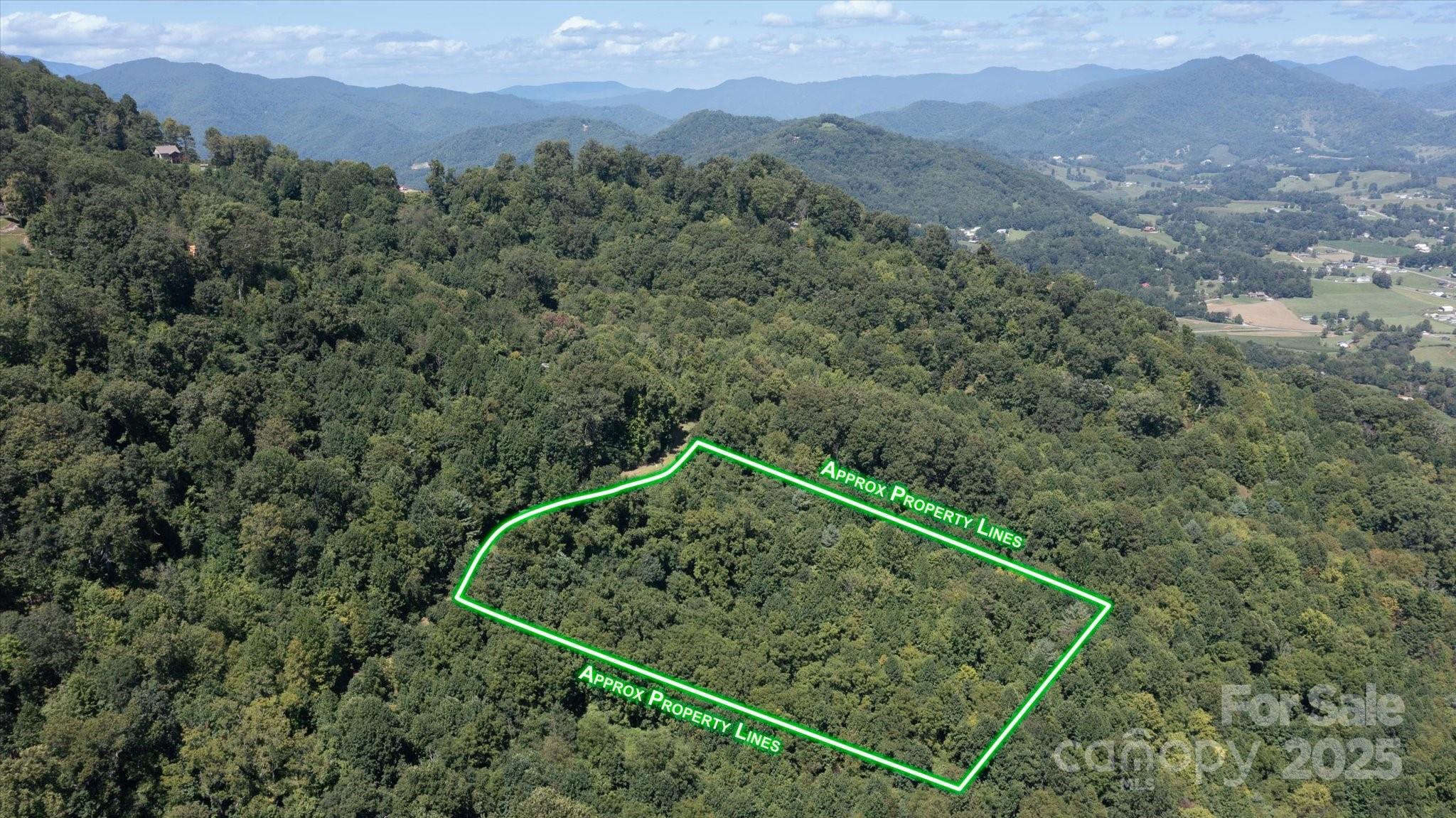 Land in Waynesville 5