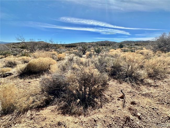 View | Image 6