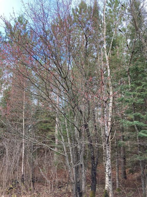 tract-2073-ON 2nd Ave, Turtle Lake, WI, 54889 | Card Image