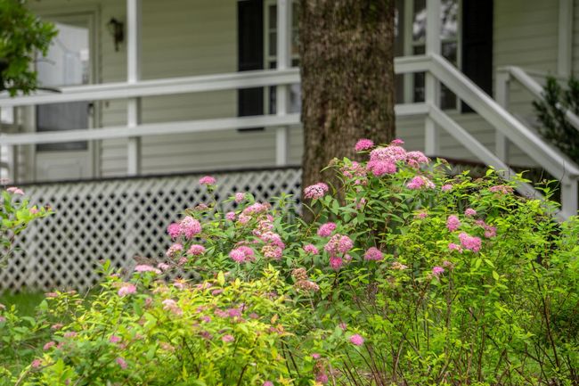 Table Rock Lake Home Acreage | Image 8