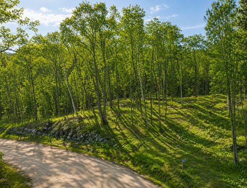 480 Ridgeway Path, Walker, MN, 56484-1126 | Card Image