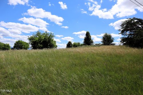9170 Old Stage Road, Limestone, TN, 37681 | Card Image
