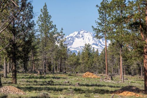 17400 Spur Dr, Sisters, OR, 97759-2660 | Card Image