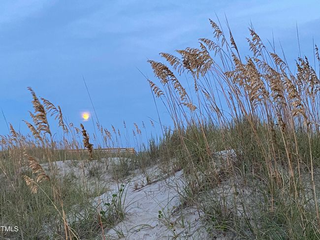 EI Beach Moon | Image 25