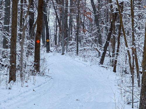 TBD Reck Ln, Whitehall, WI, 54773 | Card Image