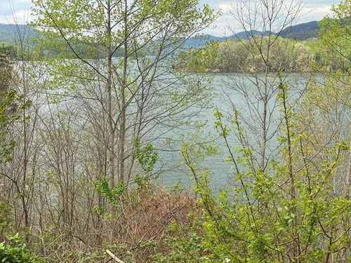 LOT 3 Coves Edge Dr, Butler, TN, 37640 | Card Image