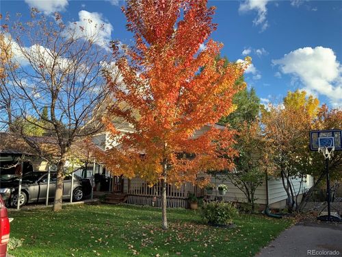 866 Cleveland St, Meeker, CO, 81641 | Card Image