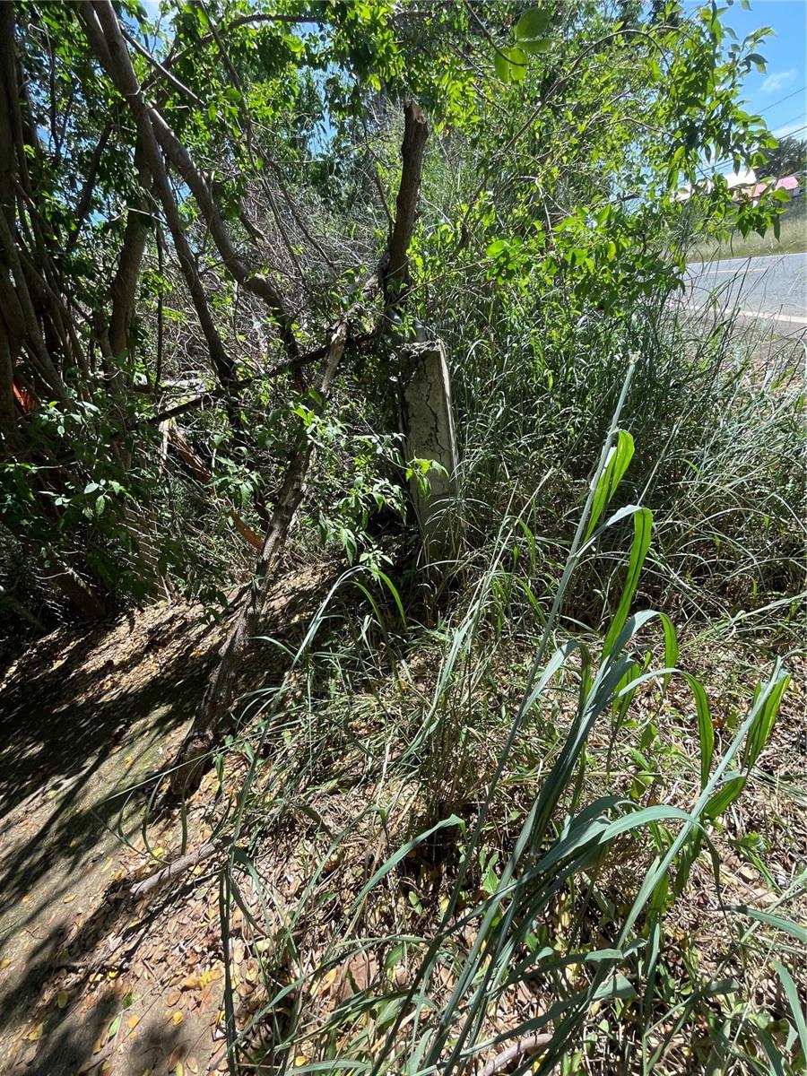Land in CABO ROJO 4