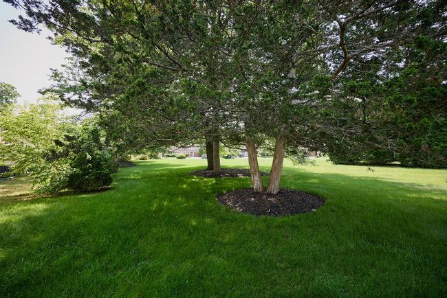 View of grassy yard | Image 26