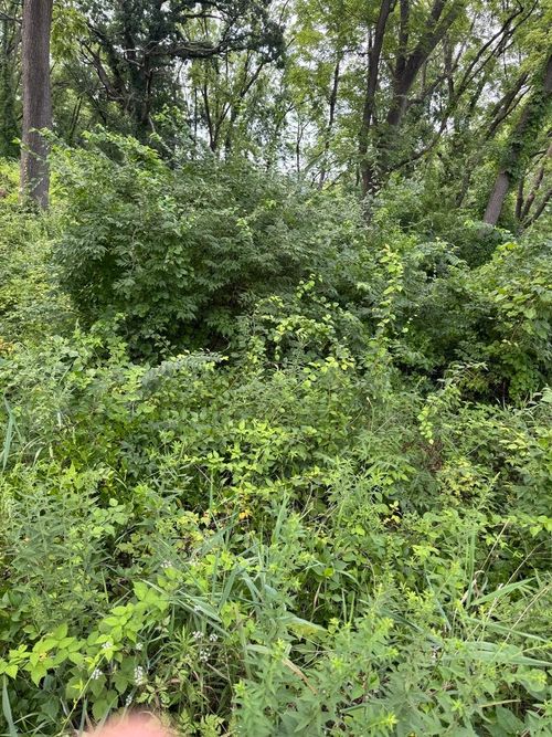 10 Chateau Dr, Dundee, IL, 60118 | Card Image