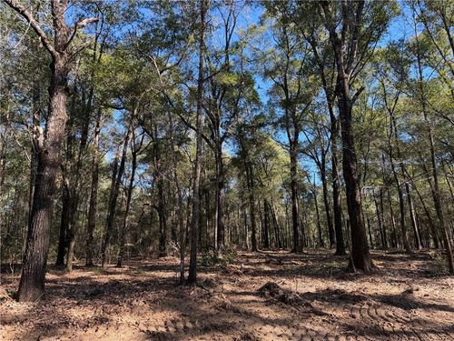 0 Danner Rd, Wilmer, AL, 36587 | Card Image