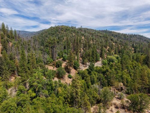 3529 Indian Creek Road, Douglas City, CA, 96024 | Card Image