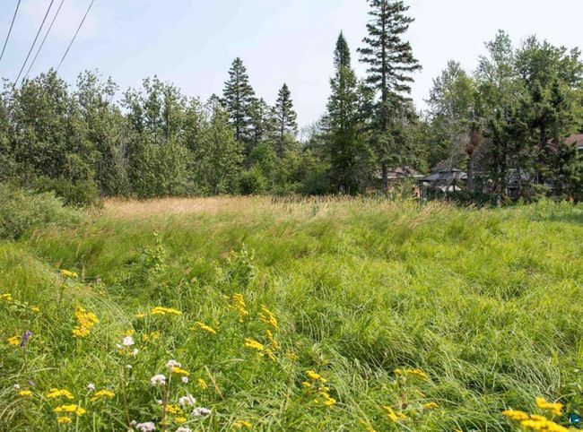 28XX Hutchinson Rd, Home with 0 bedrooms, 0 bathrooms and null parking in Duluth MN | Image 5