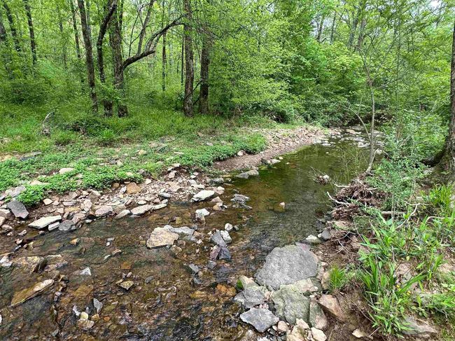 4090 Sunny Slope Rd, Home with 0 bedrooms, 0 bathrooms and null parking in Edgemont AR | Image 15