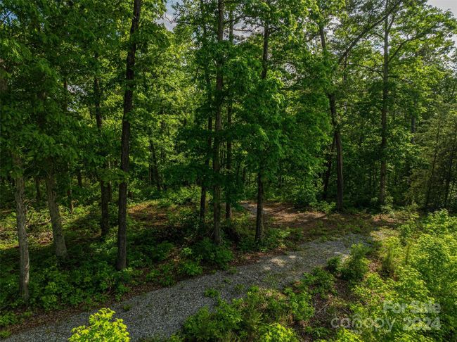 0 Walkaloosa Way, Home with 0 bedrooms, 0 bathrooms and null parking in Mooresboro NC | Image 21